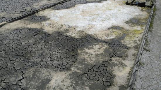 Nucleo Museologico do Mar