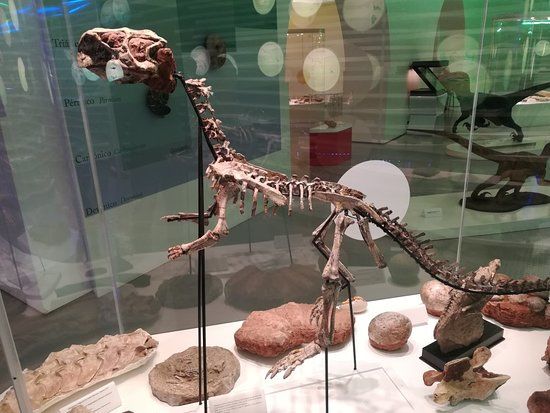 Museu de História Natural de Sintra