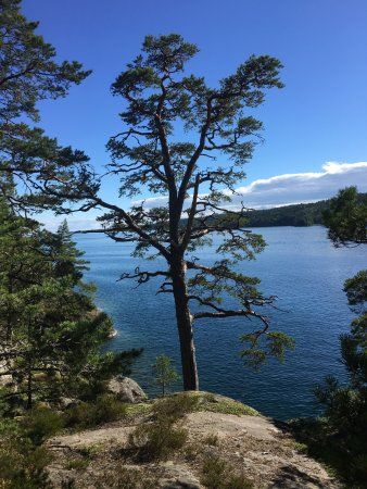 Granvik Naturreservat