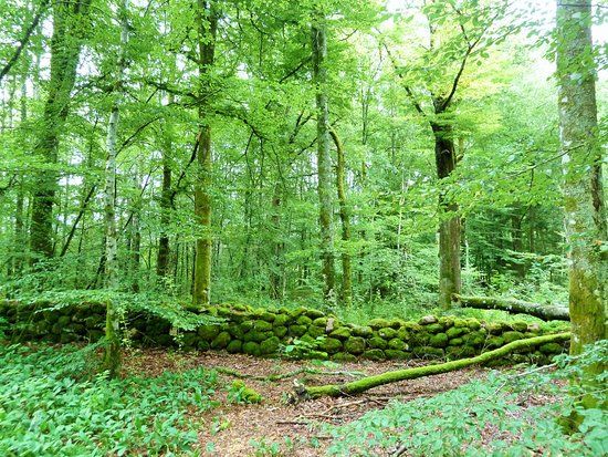 Naturreservat Mollungen