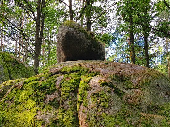 Naturpark Blockheide
