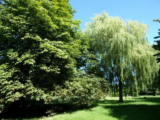 Provinciaal Museum Constant Permeke