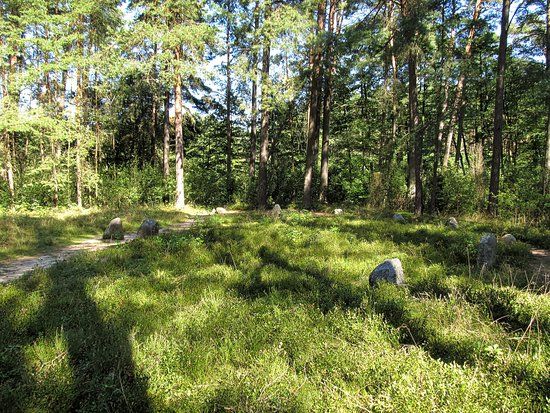 Rezerwat przyrody Kręgi Kamienne