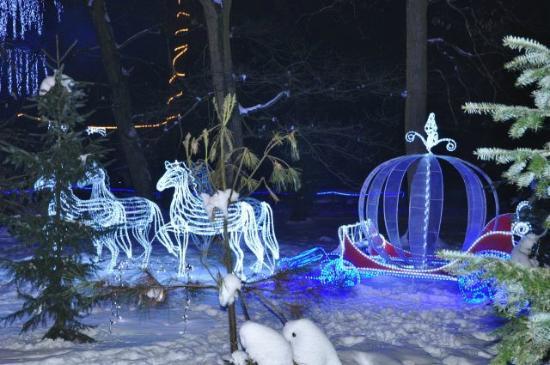 Park Swietego Mikolaja