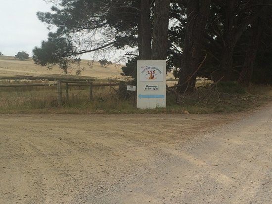 Encounter Coast Spirits