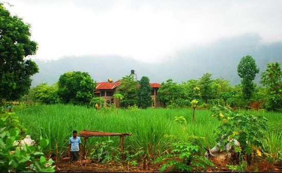 Govardhan Ecovillage