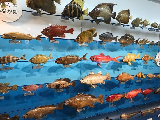 Umi to Kurashi no Shiryokan