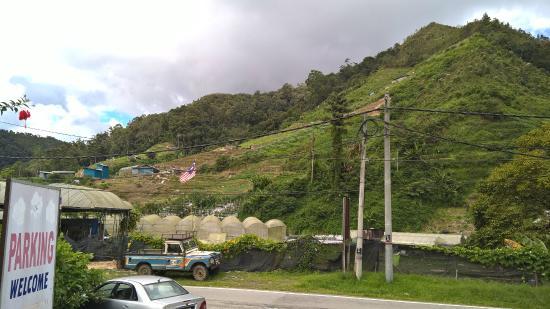 Highlands Apiary Farm