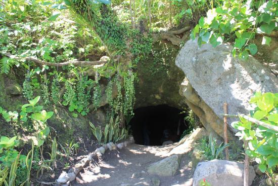 Dipnaysupuan Japanese Tunnel Door