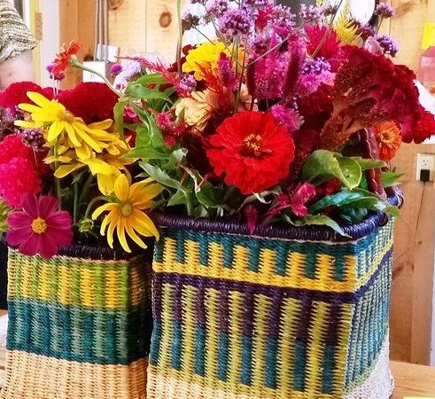 Manoff Market Gardens