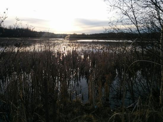 Clifford E. Lee Nature Sanctuary