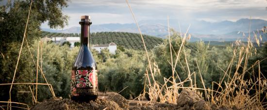 Cortijo Espiritu Santo