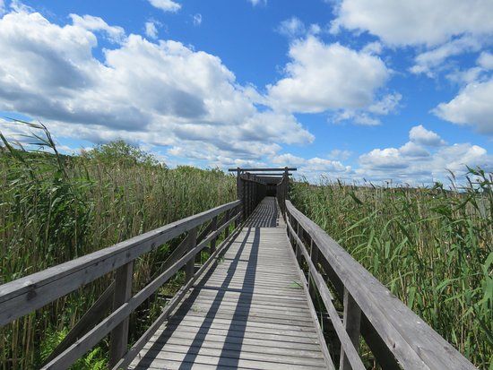 Hjälstaviken Naturreservat