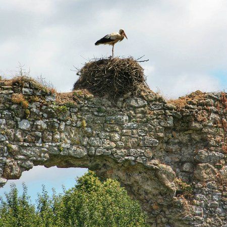 Chateau de la Riviere