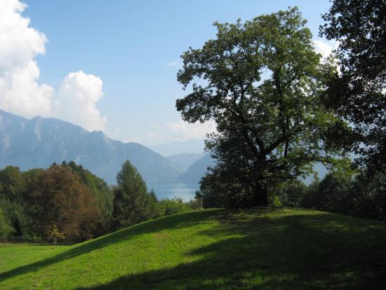 Waldlehrpfad Edelkastanienwald und Weingarten