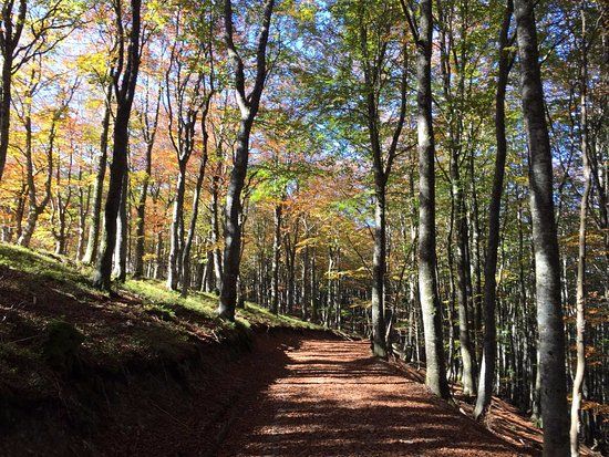 Parque Natural de Gorbeia