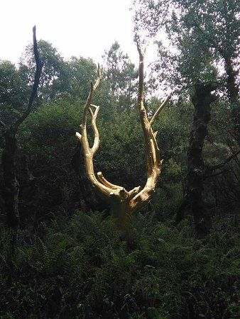 Fontaine de Barenton