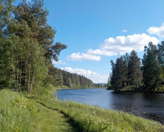 Kyrköns naturreservat