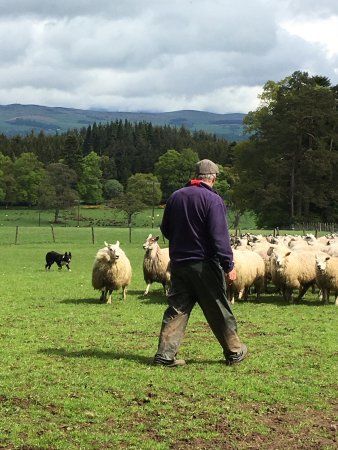 Strathearn Fleece & Fibre