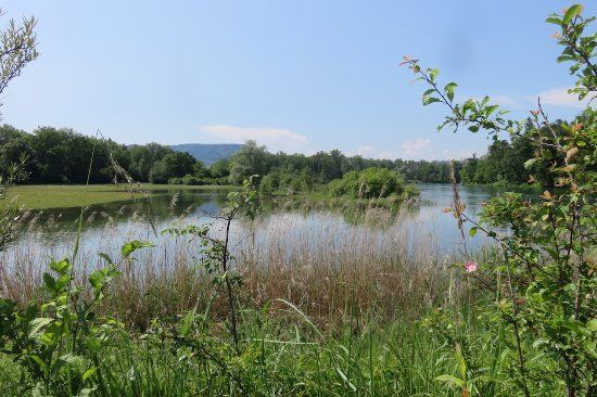 Naturzentrum Thurauen