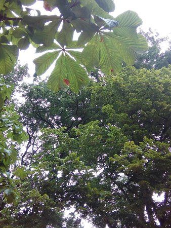 Parc aux animaux du Bois-de-la-Bâtie