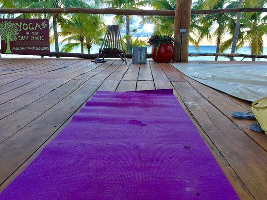 The Treehouse Yoga