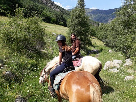 Wild Horse Pirineus Outdoor