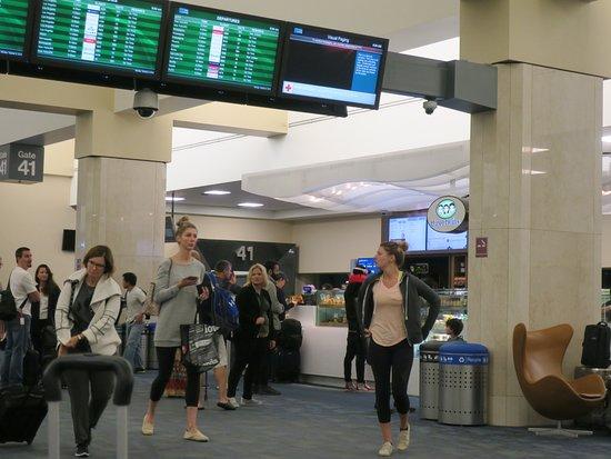 Three Twins Ice Cream