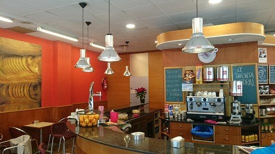 Catafal Forners Des De