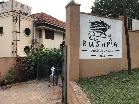 Bushpig Bar and Restaurant
