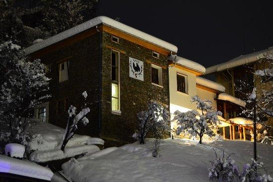 Hunting Lodge Bar & Grill "Bear Nook"