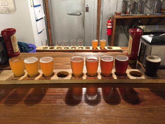 Bar D Brewhouse