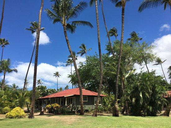 Waimea Plantation