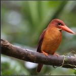 Fuye Japanese Seafood Restaurant