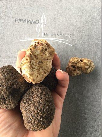 Pipavino Marlene & Martino