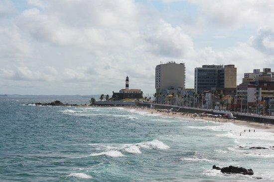 Caranguejo de Sergipe