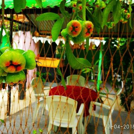 Coco Mero Restaurant