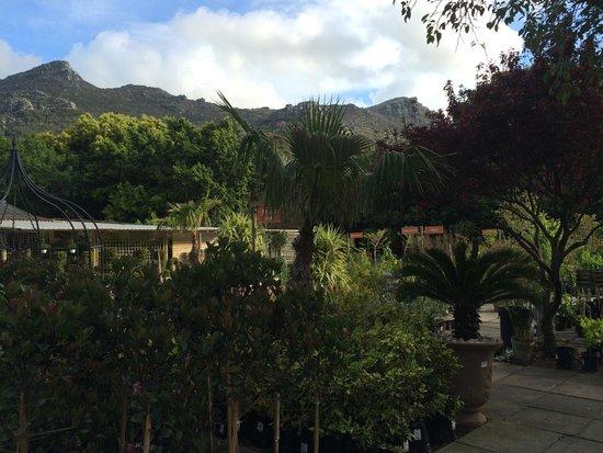 Earthworx Garden Cafe