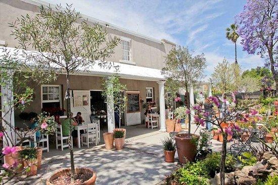 Blue Magnolia Coffee Shop