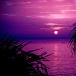 Tournesol Guest House