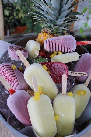 Pollyanna Helado Artesanal