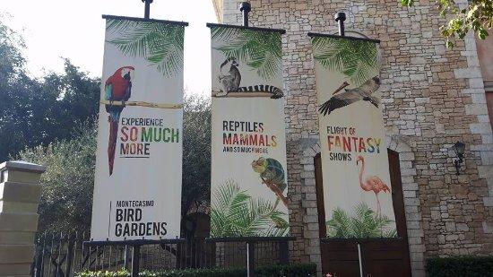 Flamingo Cafe Bird Gardens Monte Casino