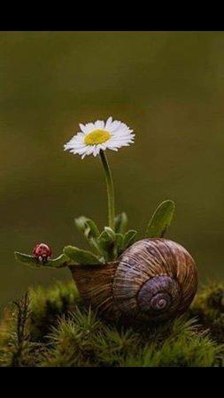 Brasserie de Lescudillier