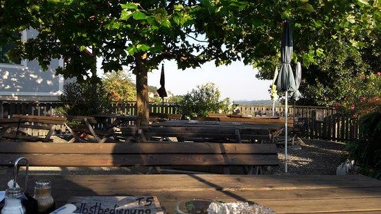 Weinbau und Buschenschank Hofmann