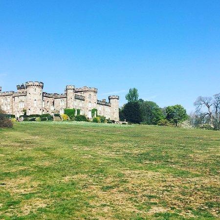 Cholmondeley Castle Tea Room