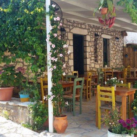 Tsovolas Grill House