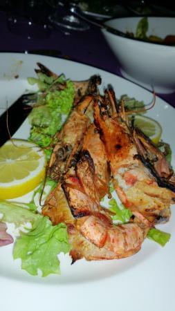 Turkish Rooftop Shisha Lounge