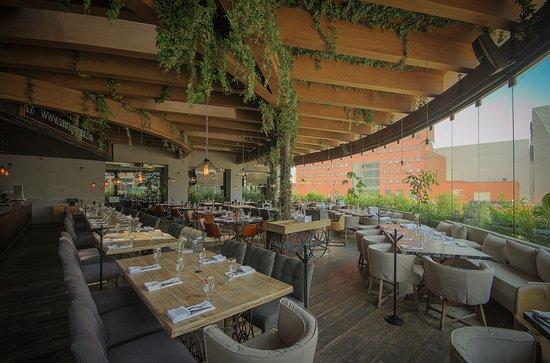 Sonora Prime San Pedro