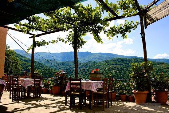 To Panorama Restaurant Cafe