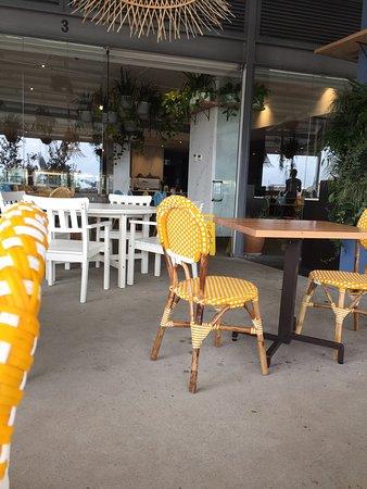 The Beehive Honeysuckle